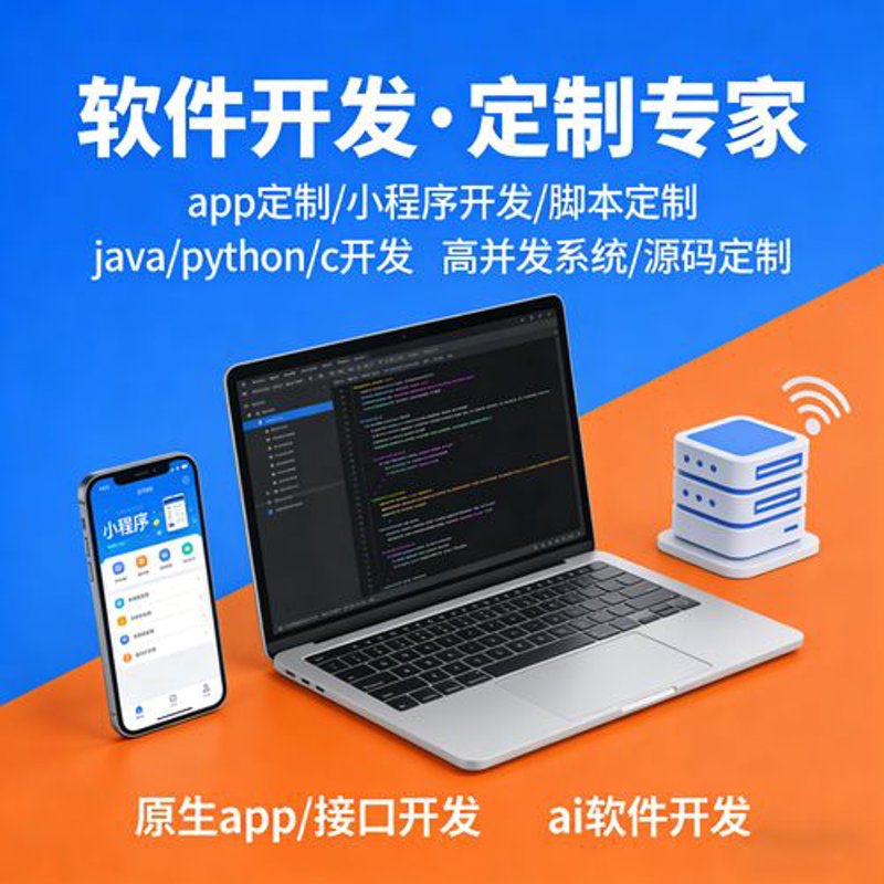 软件外包定制