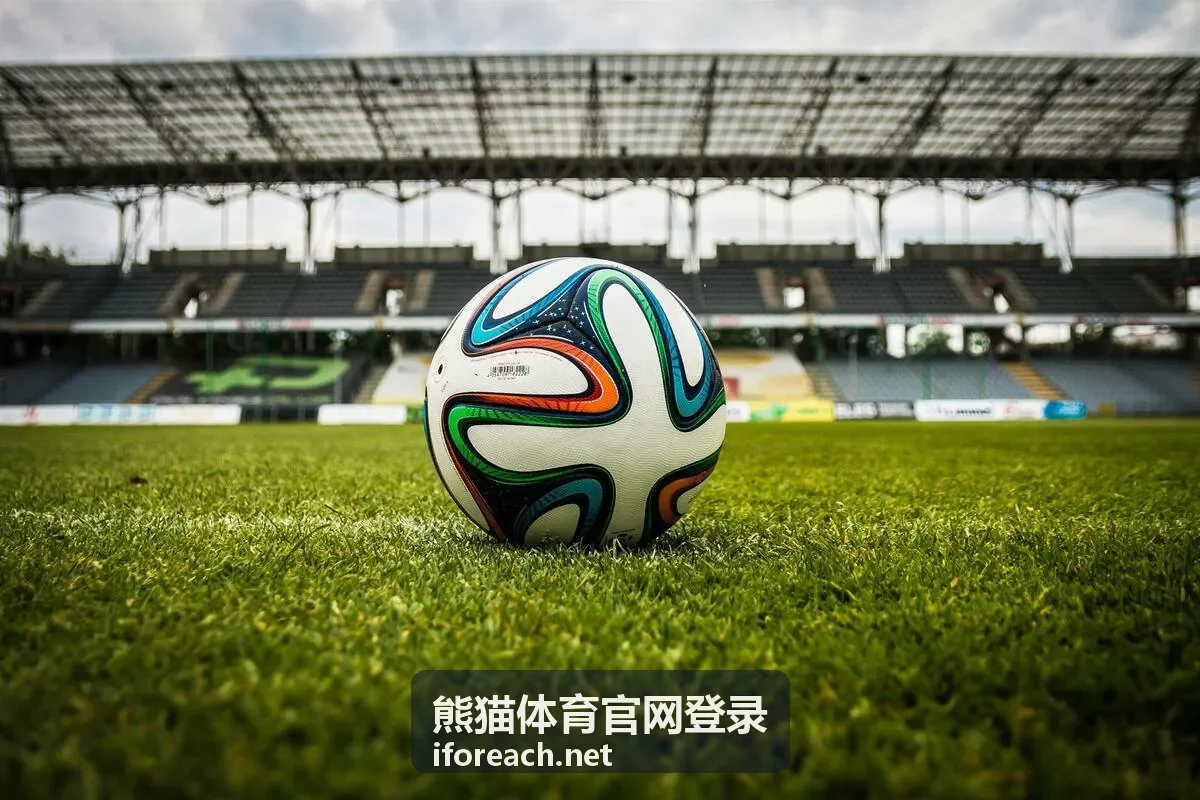 熊猫体育官网登录账号安全服务的处理流程与设置核对示意